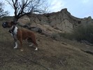 photo thumbnail #3