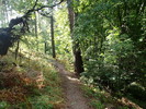 photo thumbnail #8