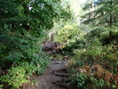 photo thumbnail #11