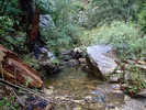 photo thumbnail #12