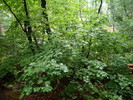 photo thumbnail #13