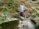 photo thumbnail #14