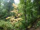 photo thumbnail #15