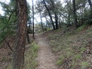 photo thumbnail #11