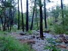 photo thumbnail #3