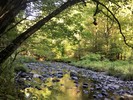 photo thumbnail #8