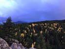 photo thumbnail #3
