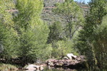 photo thumbnail #5