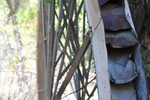 photo thumbnail #8