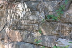 photo thumbnail #12