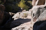 photo thumbnail #11