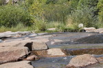 photo thumbnail #13