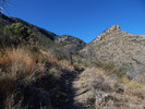 photo thumbnail #2