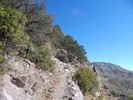 photo thumbnail #11