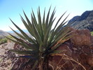 photo thumbnail #14
