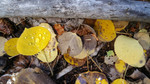 photo thumbnail #3