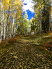 photo thumbnail #13