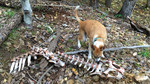 photo thumbnail #4