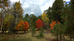 photo thumbnail #5