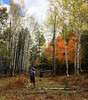 photo thumbnail #8