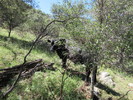 photo thumbnail #3