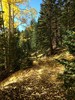 photo thumbnail #6