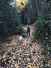 photo thumbnail #11