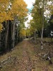 photo thumbnail #12