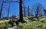 photo thumbnail #15