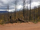 photo thumbnail #1