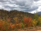 photo thumbnail #3