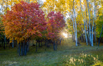 photo thumbnail #6