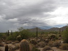 photo thumbnail #1