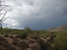 photo thumbnail #7