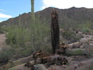photo thumbnail #12