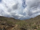photo thumbnail #1