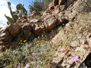 photo thumbnail #3