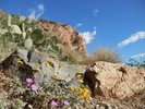photo thumbnail #5