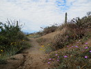 photo thumbnail #8
