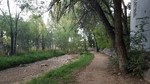 photo thumbnail #13