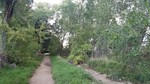 photo thumbnail #14