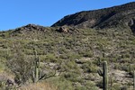 photo thumbnail #2