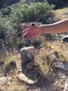 photo thumbnail #1