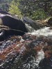 photo thumbnail #12