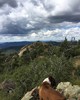 2016-10-01 :3: Dave and the Onion :: MountainMatt