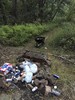 photo thumbnail #8