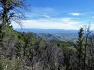 photo thumbnail #5