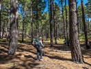 photo thumbnail #6