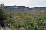 photo thumbnail #11