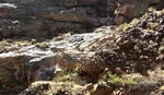 photo thumbnail #11